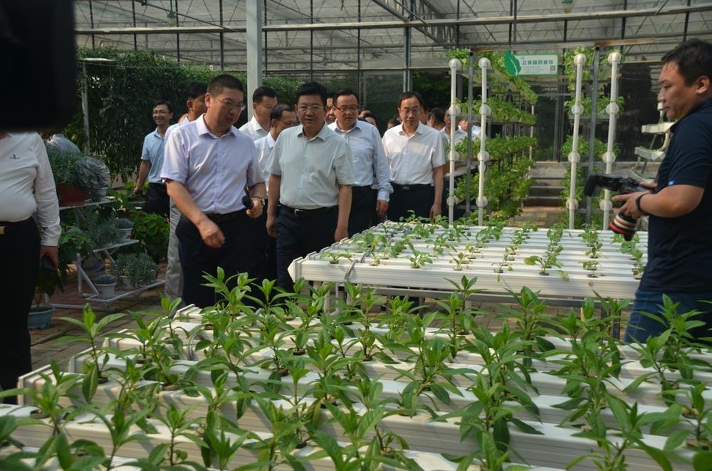 科技助農(nóng)，播撒光的種子  精準扶貧，助力鄉(xiāng)村振興